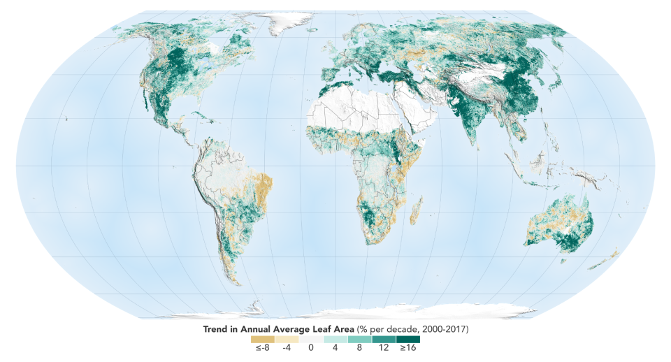 The world is a greener place than it was 20 years ago, as shown on this map, where areas with the greatest increase in foliage are indicated in dark green. Data from a NASA instrument orbiting Earth aboard two satellites show that human activity in China and India dominate this greening of the planet. Credits: NASA Earth Observatory