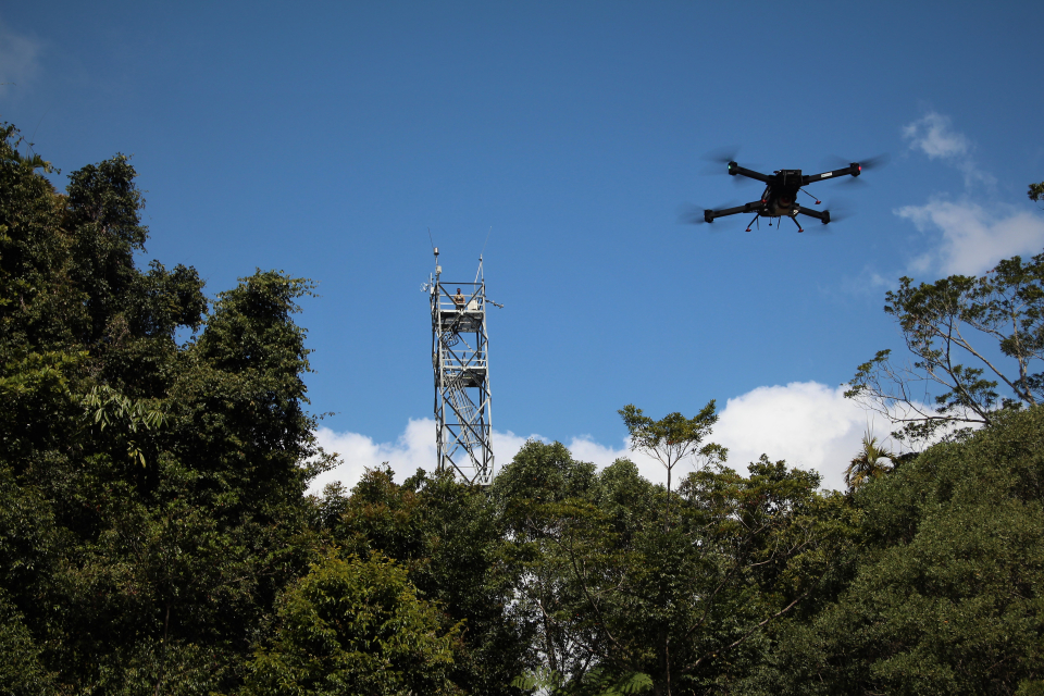Les forêts tropicales sont des sites difficiles pour Le lancement d'UAV qui nécessitent un espace libre de taille suffisante dans la canopée, ainsi qu’une visibilité directe pendant le vol.