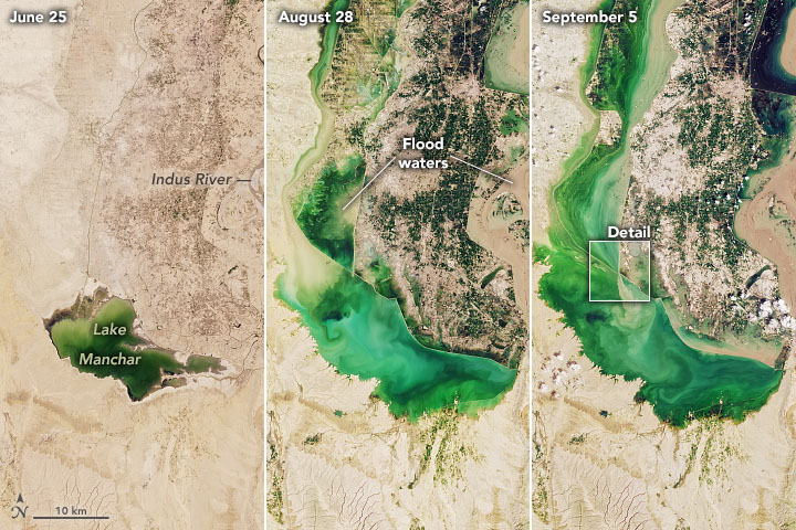 3 Landsat images showing the evolution of the Indus River floods and their effects on Lake Manchar, from 25 June to 5 September 2022. 25 June 2022 (Landsat 9) 28 August 2022 (Landsat 9) 5 September 2022 (Landsat 8)