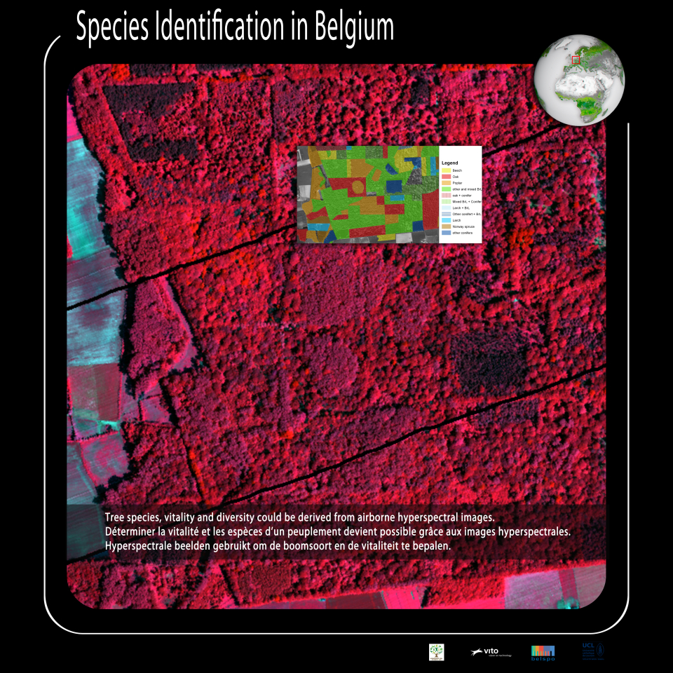 Tree species, vitality and diversity could be derived from airborne hyperspectral images.