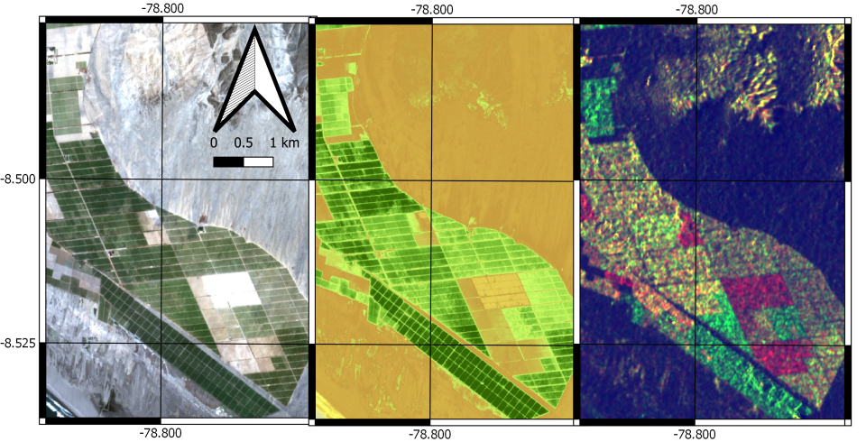 These images show the asparagus fields in different stages of growth. For every pixel in the image the dynamic filtering algorithm tracks the amount of carbohydrate in the crops. Left: Sentinel-2 RGB image acquired 04/01/2019; Centre: Sentinel-2 GNDVI image; Right: Sentinel-1 RGB Composite.
