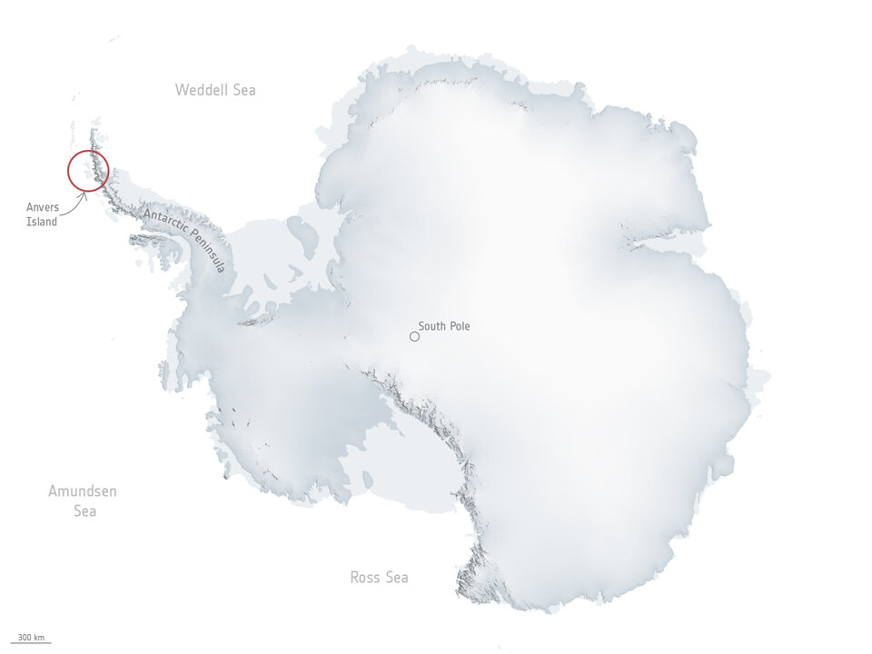 William Glacier lies on the Antarctic Peninsula
