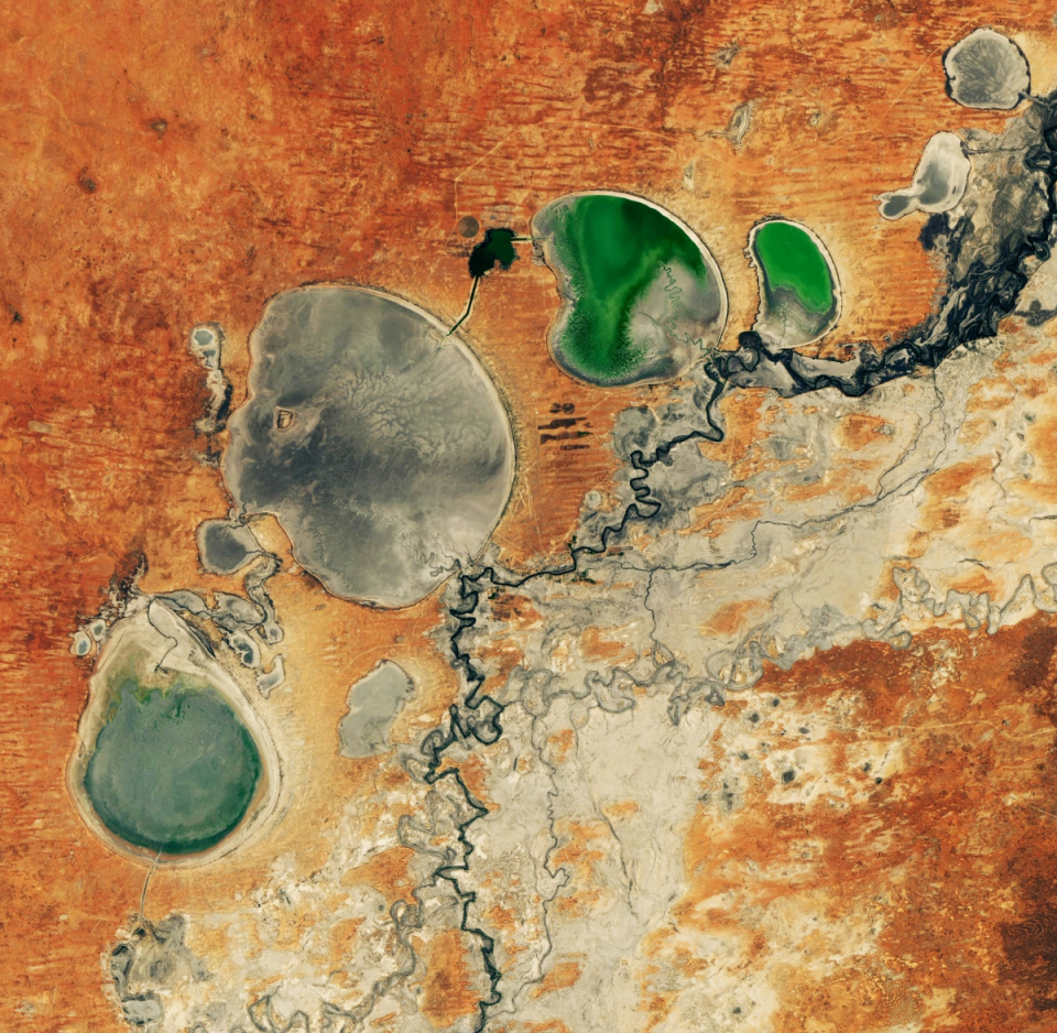 Australia’s Disappearing Lakes Disappear Even More. Cette très belle image Landsat acquise début février 2019 montre l'asséchement des lacs de Menindee en Nouvelle-Galles du Sud, dû à la combinaison de températures extrêmement élevées, de faibles précipitations et d'une gestion controversée des cours d'eau en amont. Source: NASA Earth Observatory